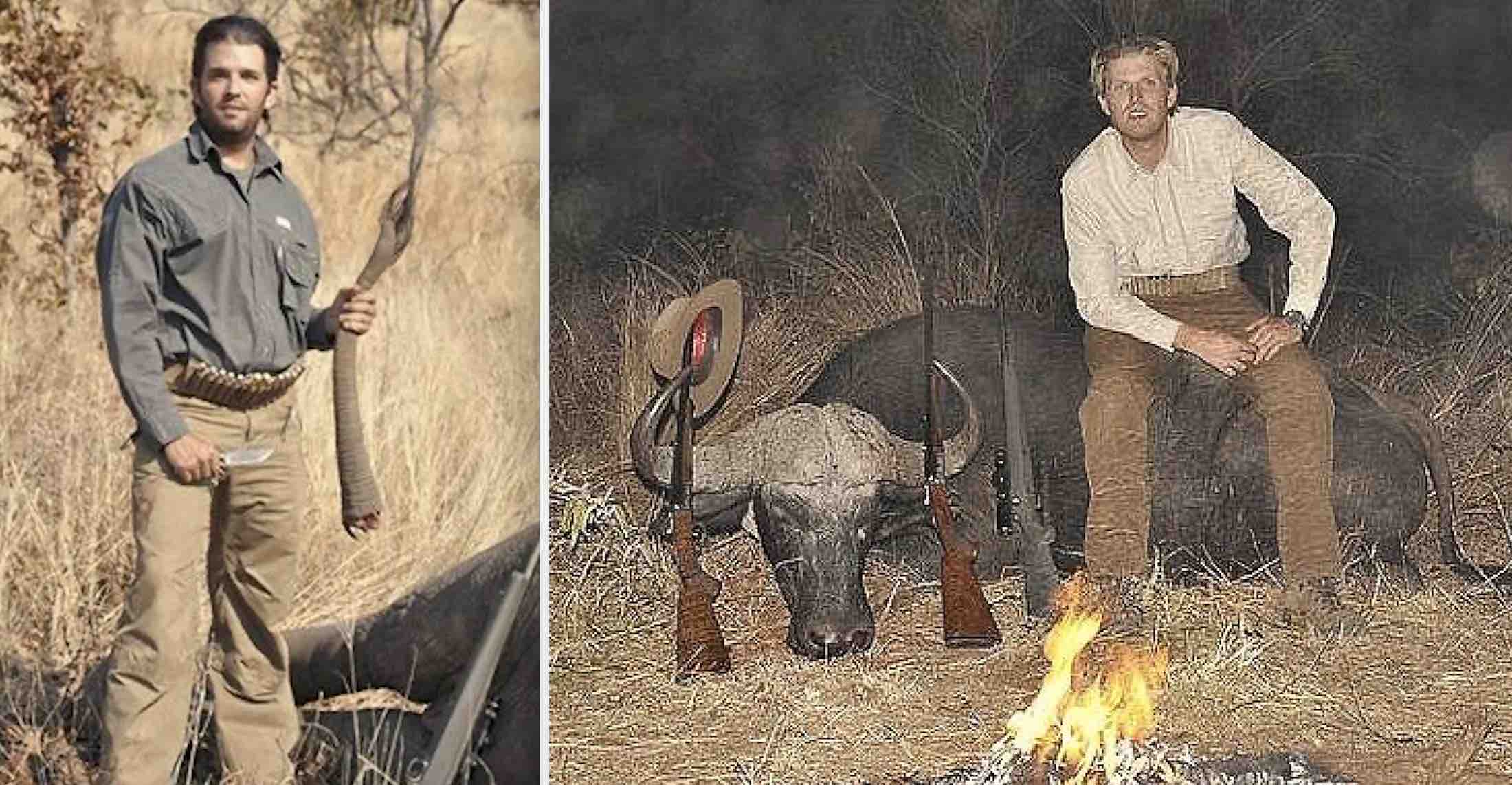 Trophy Hunting is for Idiots, The Controversy Surrounding Donald Trump Jr. and Eric Trump’s Trophy Hunting and the Ethics, Conservation, and Public Outcry
