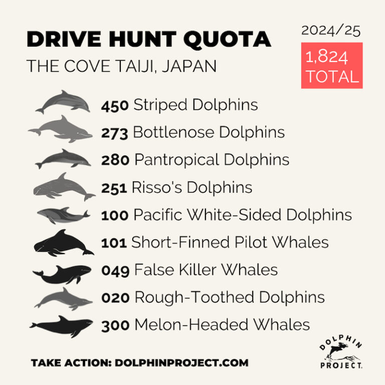 Dolphin Hunting in Taiji, Japan Sustainable Action Now (SAN)