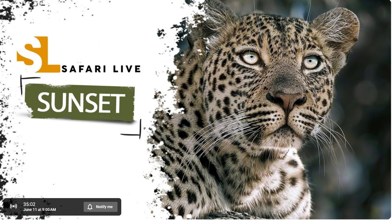 A Comprehensive Report on Our Urgent Mission for a Thriving Planet Watch SafariLIVE Sunset & Go LIVE at the Waterhole