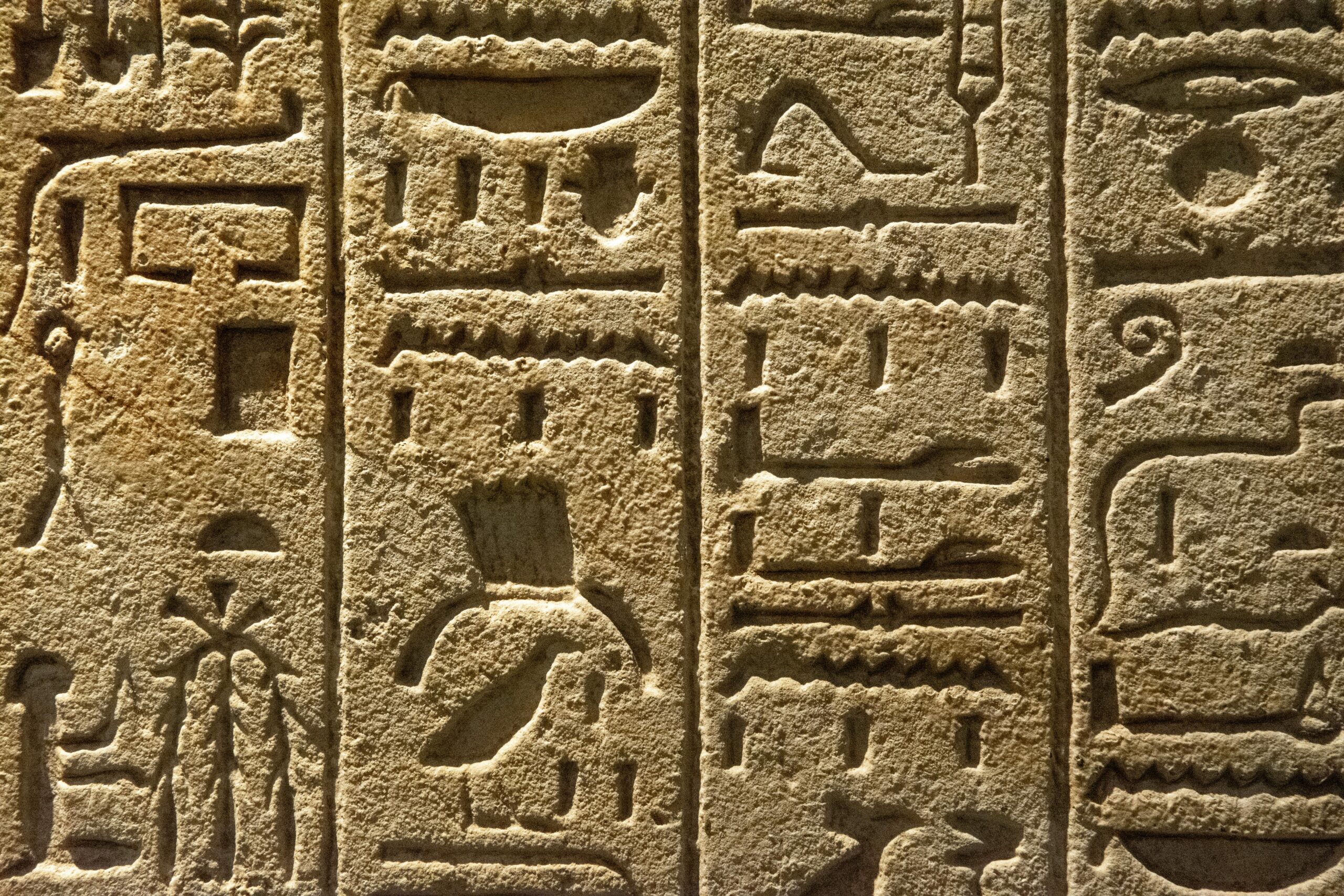 Close-up of ancient Egyptian hieroglyphs carved into a stone wall, showcasing cultural history.