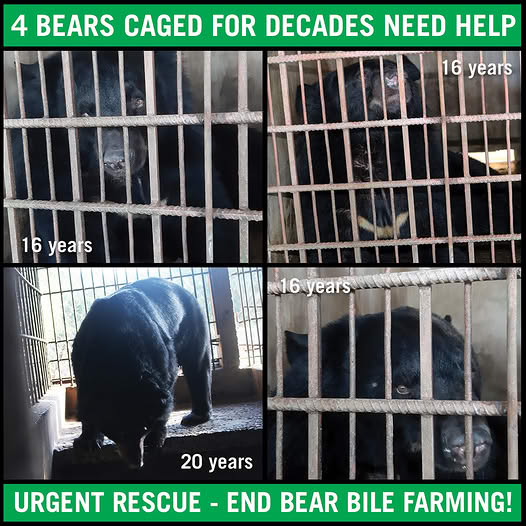 Twenty-Three Years in a Cage, Then the Sky