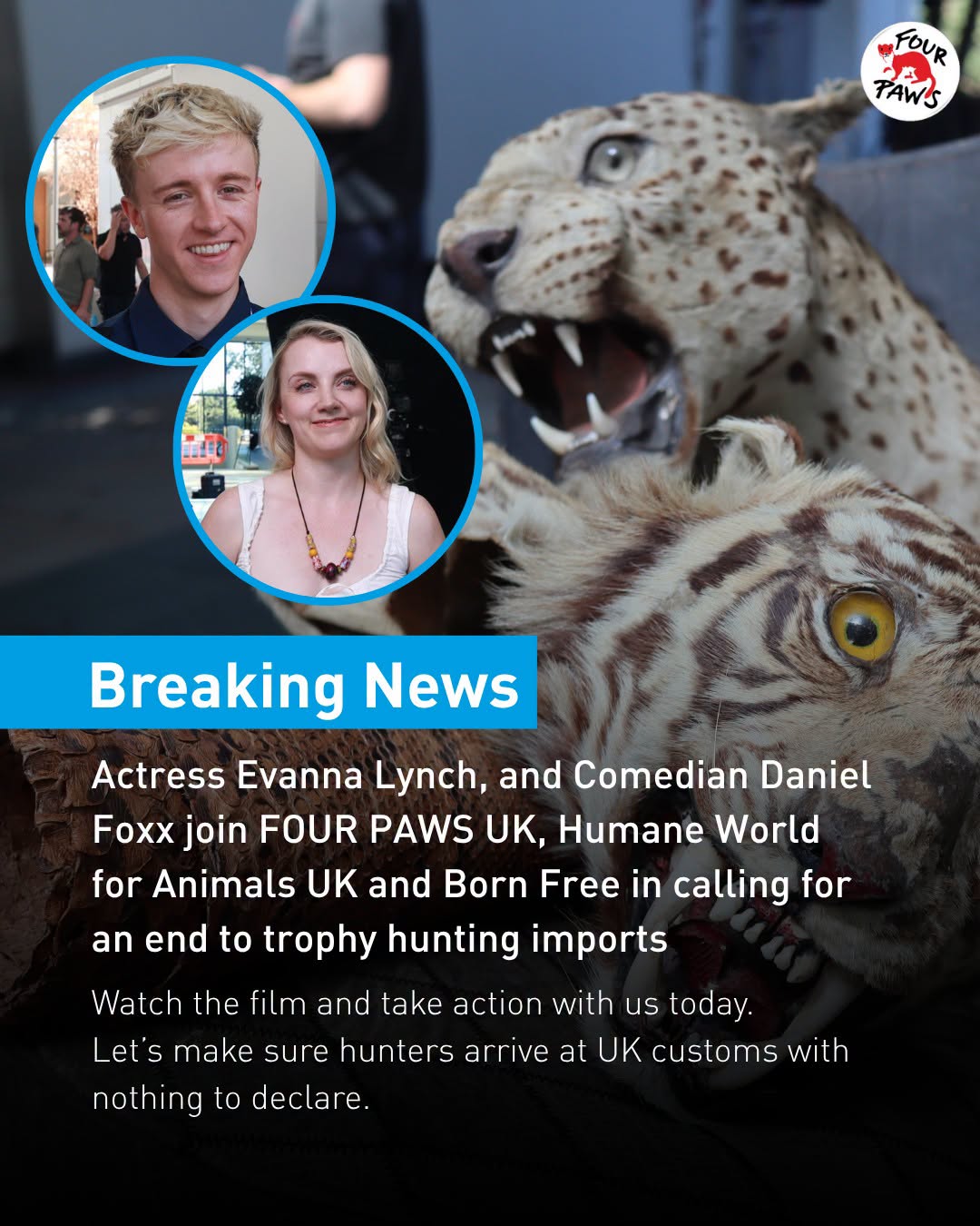 The Leopard Who Was Labelled a “Problem Animal” Has Been Home for 20 Years
