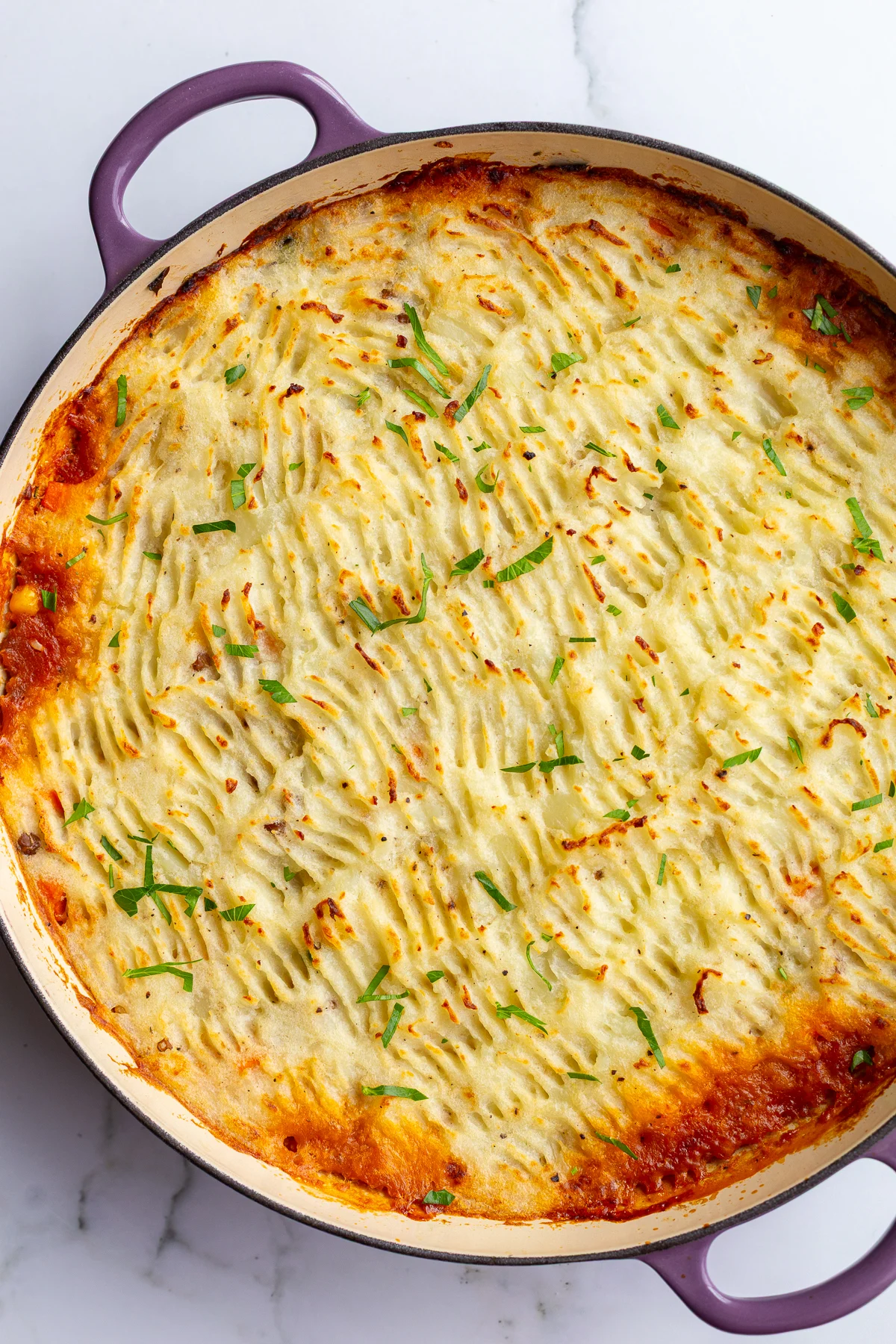 A New Take on an Old Favorite: The Lentil Shepherd’s Pie Winning Over New Jersey Kitchens