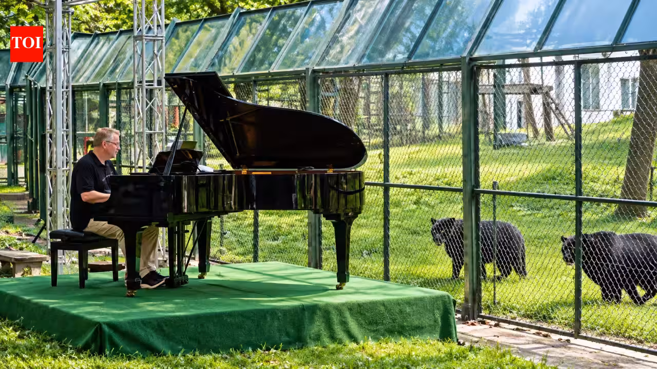 They Spent Decades in Cages on Bile Farms. Then They Heard Piano Music for the First Time.